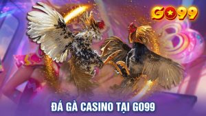 Đá Gà Casino Tại Go99 - Hình Thức Giải Trí Đầy Thú Vị