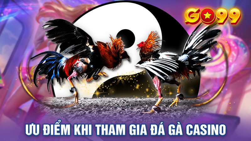 Ưu điểm khi tham gia đá gà casino trực tiếp